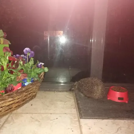 Rodzinne Hanna Homestay