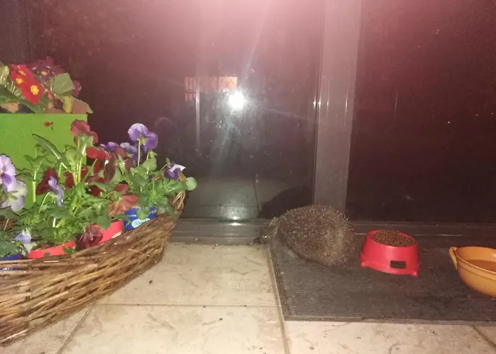 Rodzinne Hanna Δωμάτια σε οικογενειακή κατοικία